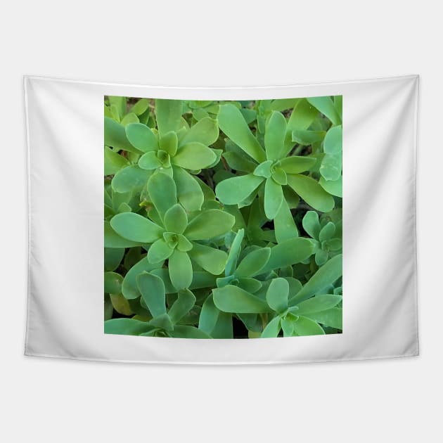 Sedum Palmeri Leaves Tapestry by DesignMore21