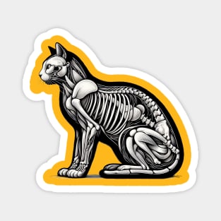 cat anatomy Magnet