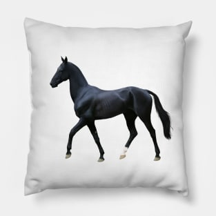 Black Akhal-Teke (Ochre) Pillow