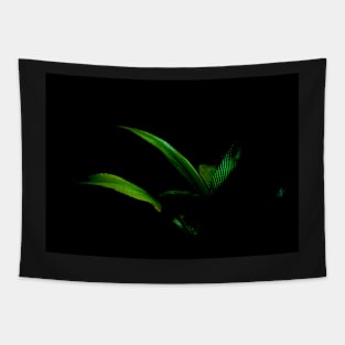 Bright green palm frond caught in sun against black background Tapestry