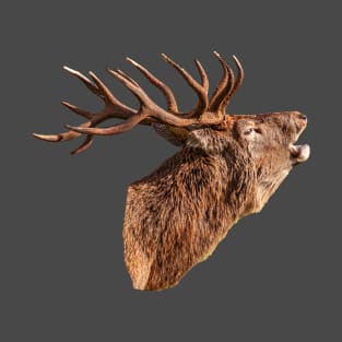 Red Deer Head in colour T-Shirt