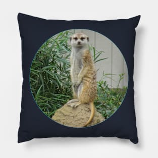 Meerkat Standing Pillow