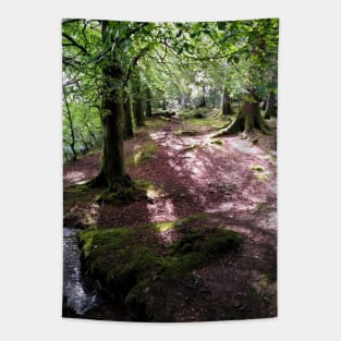 Highland woods near Loch Oich, Scotland Tapestry