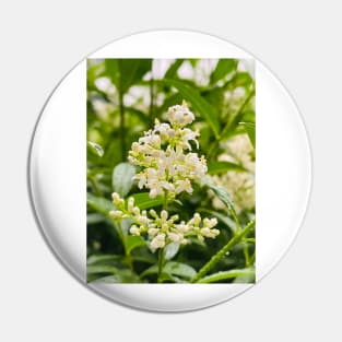 White flowers Pin