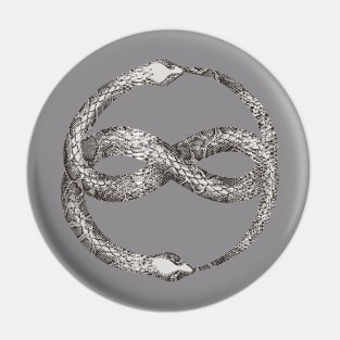 Snakes - Ouroboros Pin