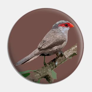 Common Waxbill or St Helena Waxbill Pin