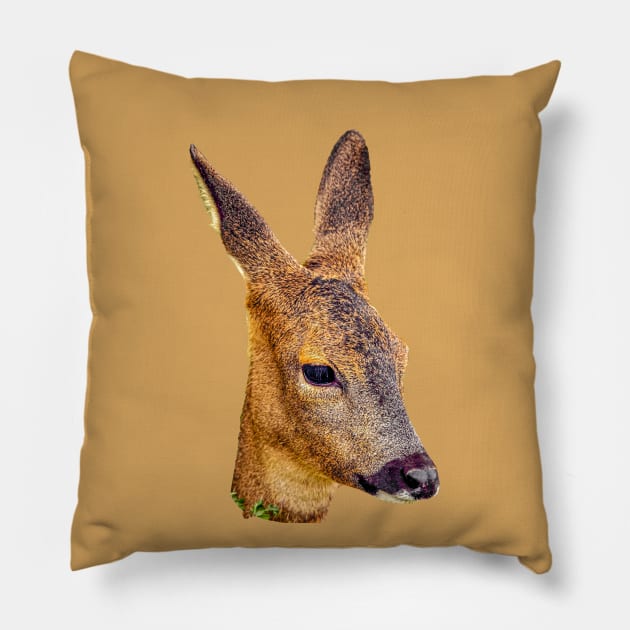 Roe deer head Pillow by dalyndigaital2@gmail.com