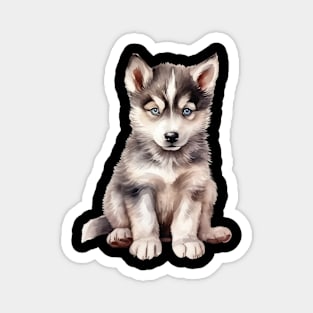 Puppy Siberian Husky Magnet