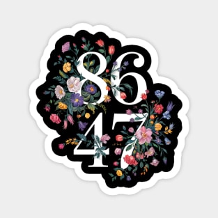 8647 Magnet
