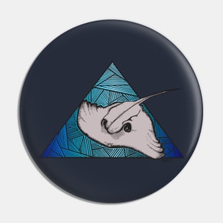 Geometric Ray 2.0 Pin