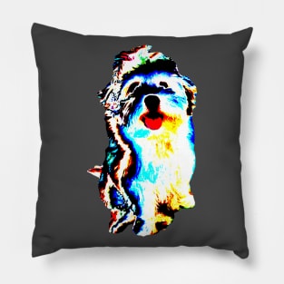 cute dog, puppy, havanese, bolonka zwetna Pillow