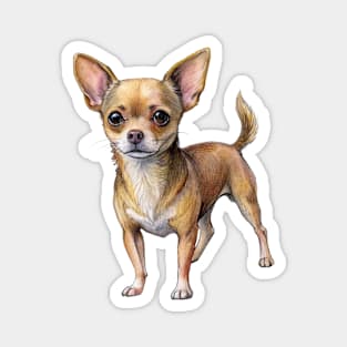 Cute Chihuahua Dog Breed Magnet