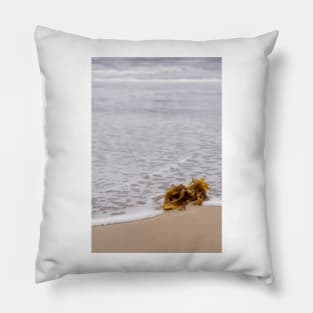 Seaweed Pillow