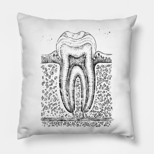 Tooth diagram Pillow