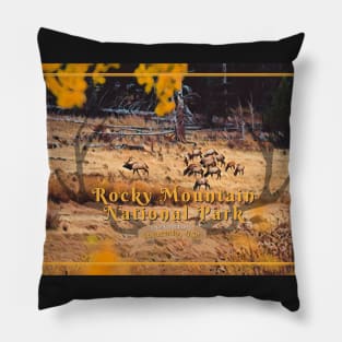 Autumn in Rocky Mountain National Park Poster Pillow