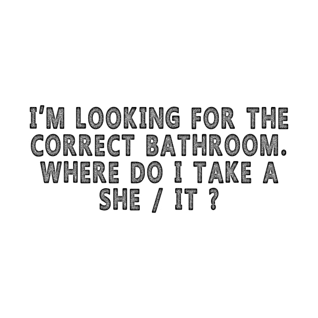 I’m Looking For The Correct Bathroom Where Do I Take A she it by Wintrly