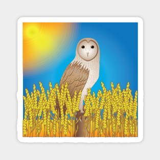 Barn Owl Magnet