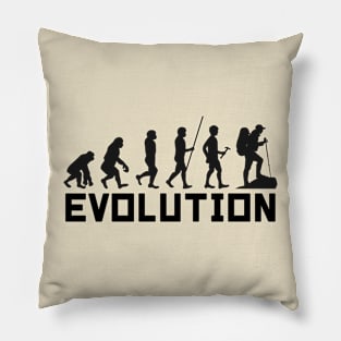 Evolution Pillow