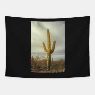 Saguaro Tapestry