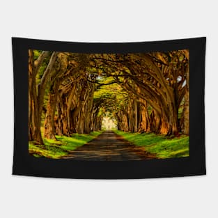 Cypress Golden Glow Tapestry