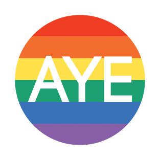 AYE, Scottish Independence Pride Flag Coloured Circle Design T-Shirt
