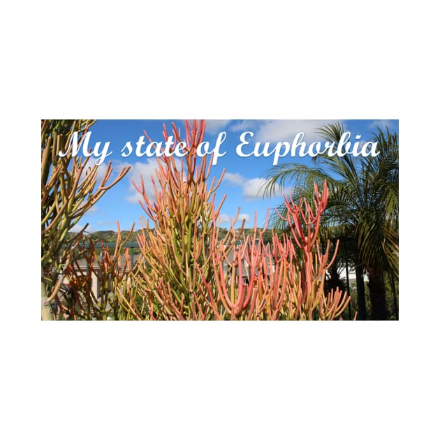 My State of Euphorbia by Battlefoxx Living Earth