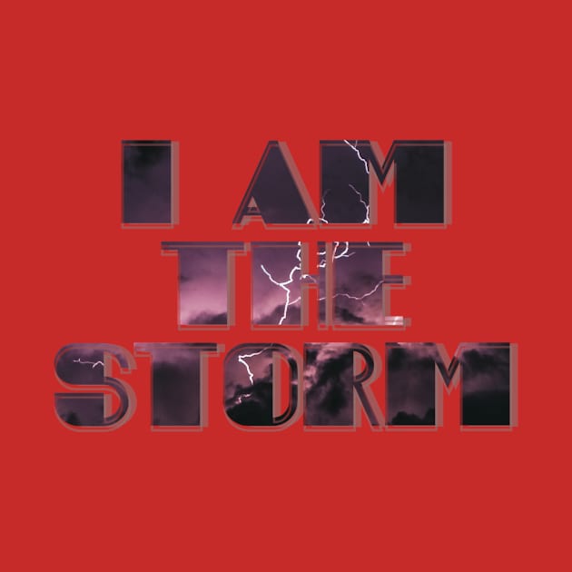 I am the Storm by afternoontees