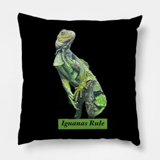 Iguanas Rule Pillow