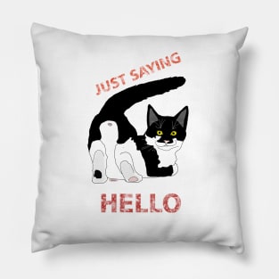 A Tuxedo Cat butt hello  Copyright TeAnne Pillow