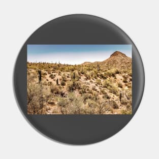 Apache Trail Scenic Drive View Pin