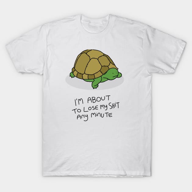 Grumpy Turtle Women's T-Shirt