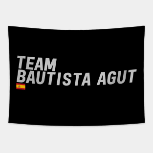 Team Roberto Bautista Agut Tapestry