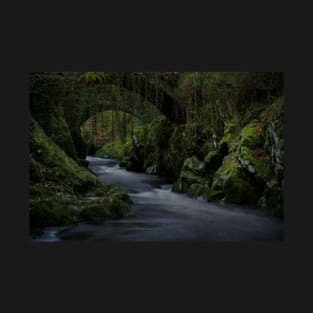 WATER UNDER A ROMAN BRIDGE T-Shirt