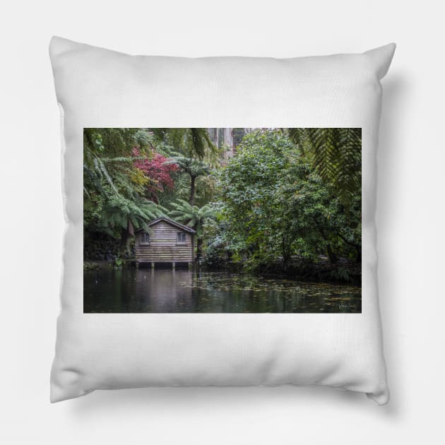 The Lake House at Alfred Nicholas Memorial Gardens Pillow by VickiWalsh