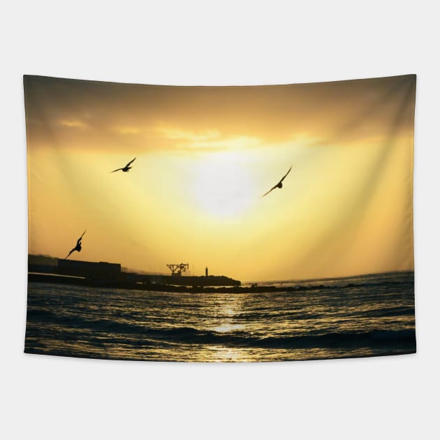 Sunset Birds Flying Silhouettes Tapestry by Kate-P-