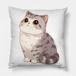 Cute British Shorthair Cat Pillow