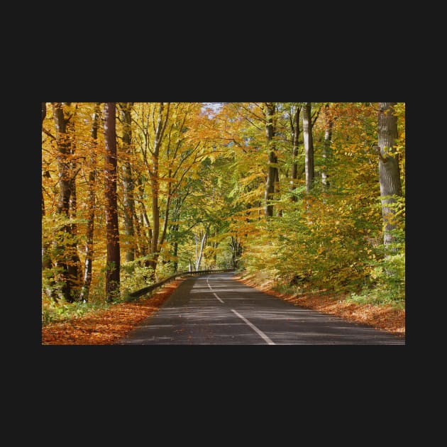 Autumn road by Trine