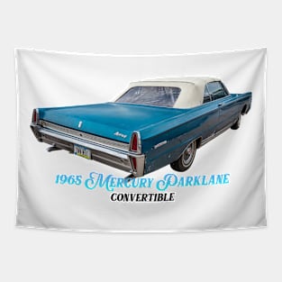 1965 Mercury Parklane Convertible Tapestry