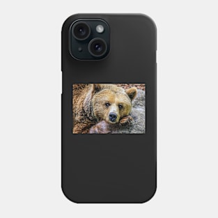 Cute Bear Phone Case