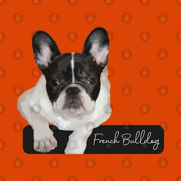 French Bulldog by NV