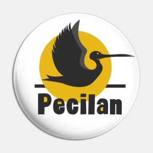 Pecilan Pin