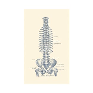 German Rib and Pelvis Diagram - Vintage Anatomy Poster T-Shirt