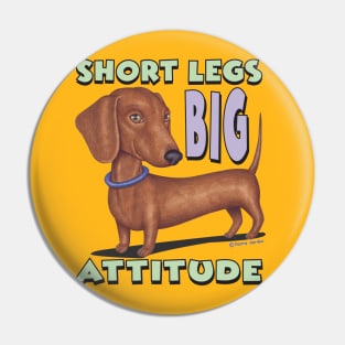 Cute Brown Doxie  with classic pose short legs big attitude Pin