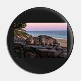 Cat in the sunset on the beach Pin