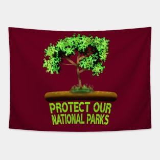 Protect Our National Parks, National Parks Tapestry