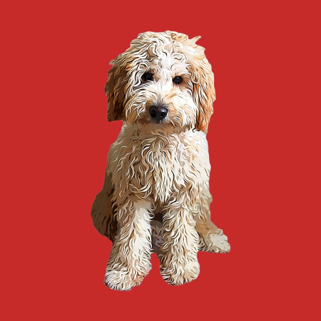 Labradoodle Puppy Dog by Elarex