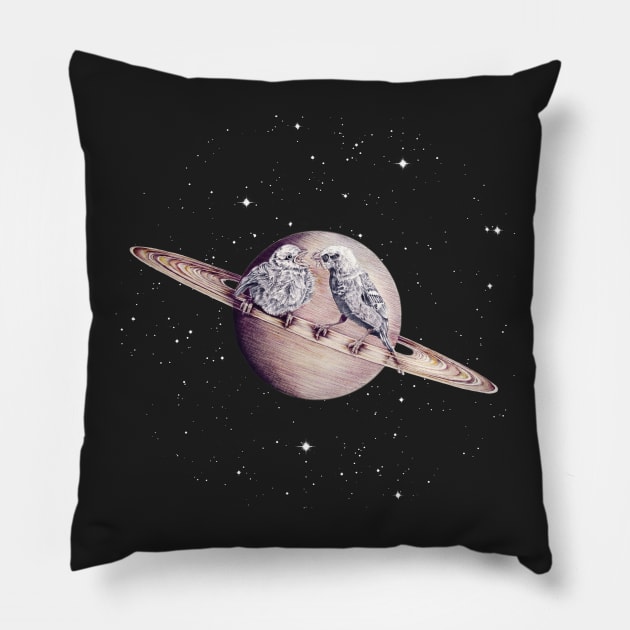 Space Sparrows Pillow by jamesormiston