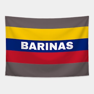 Barinas City in Venezuelan Flag Colors Tapestry