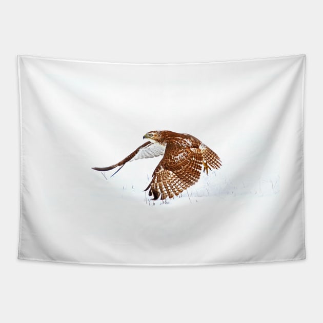 Red-tailed Hawk - Uprising Tapestry by Jim Cumming
