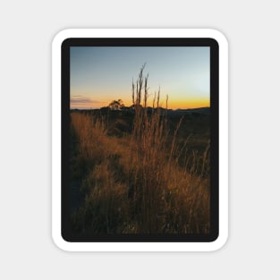 Sunset in Brazilian National Park (Chapada dos Veadeiros, Goias) Magnet